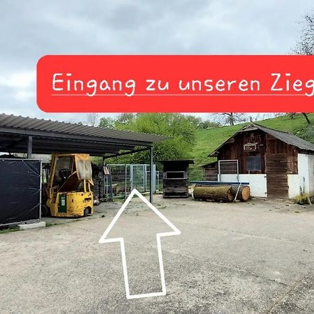 Ferienwohnung/Monteurzimmer Auf Dem Bauernhof Moerlenbach Exterior photo